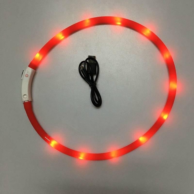 Flashing LED Safety Collar