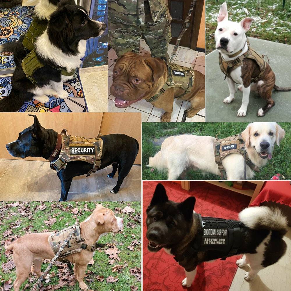 Tactical Dog Harness, CP Set