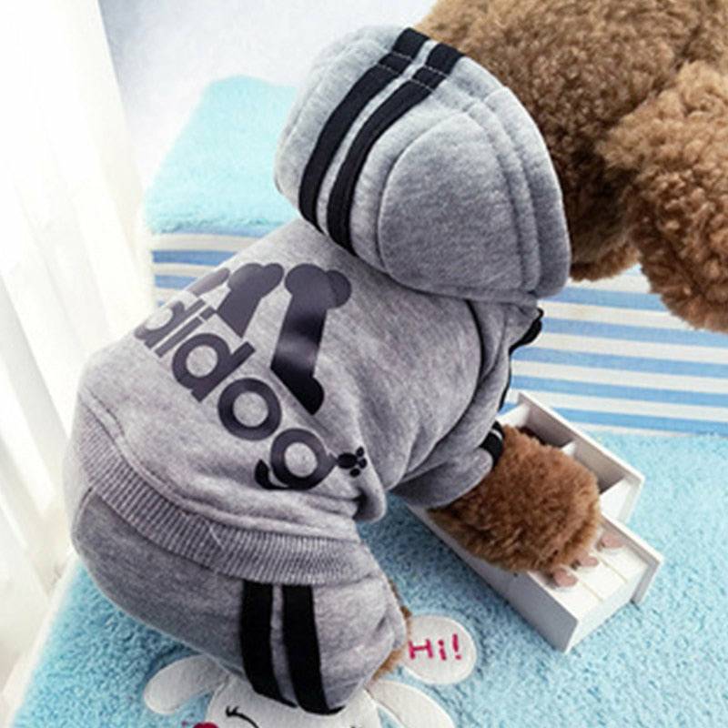 Adidog sweatsuit