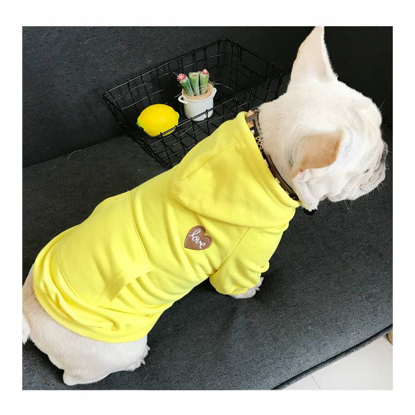 Pup N Me + Yellow Love
