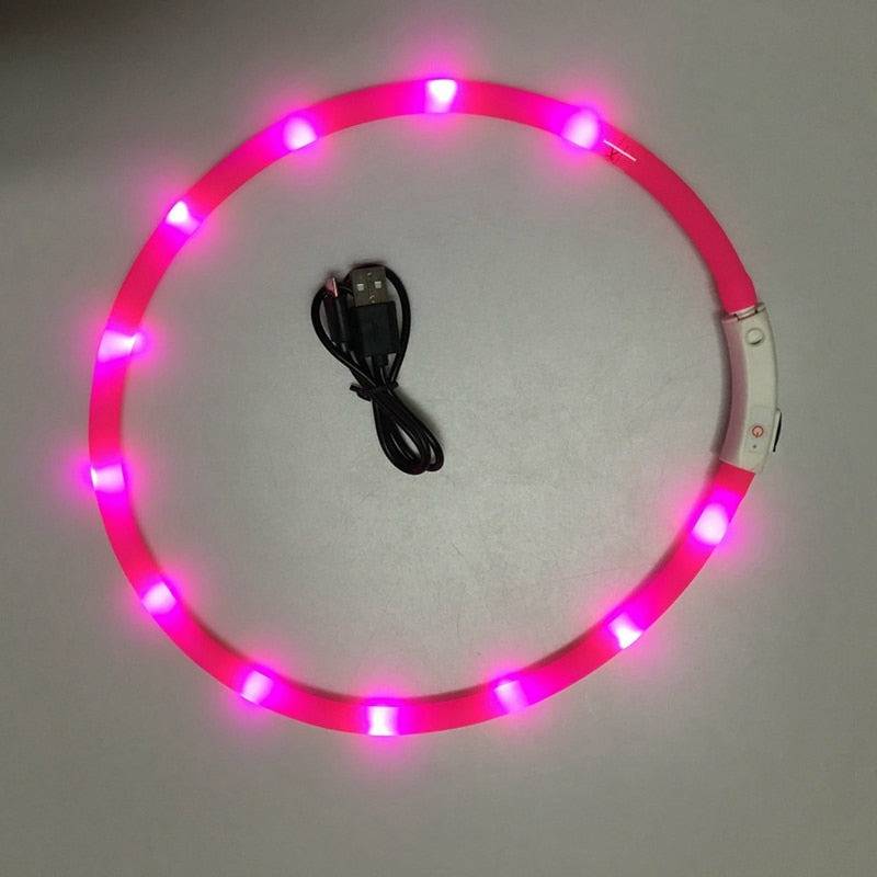 Flashing LED Safety Collar