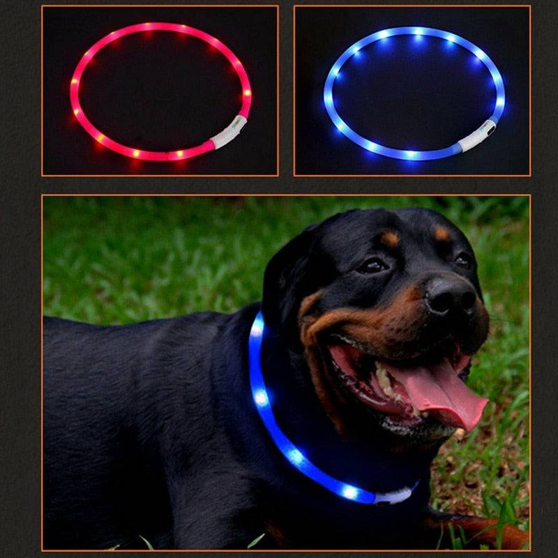 Flashing LED Safety Collar