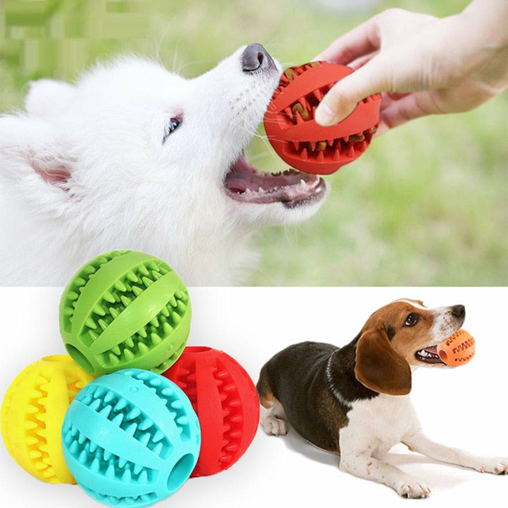 Tooth Cleaning Dog Food Ball