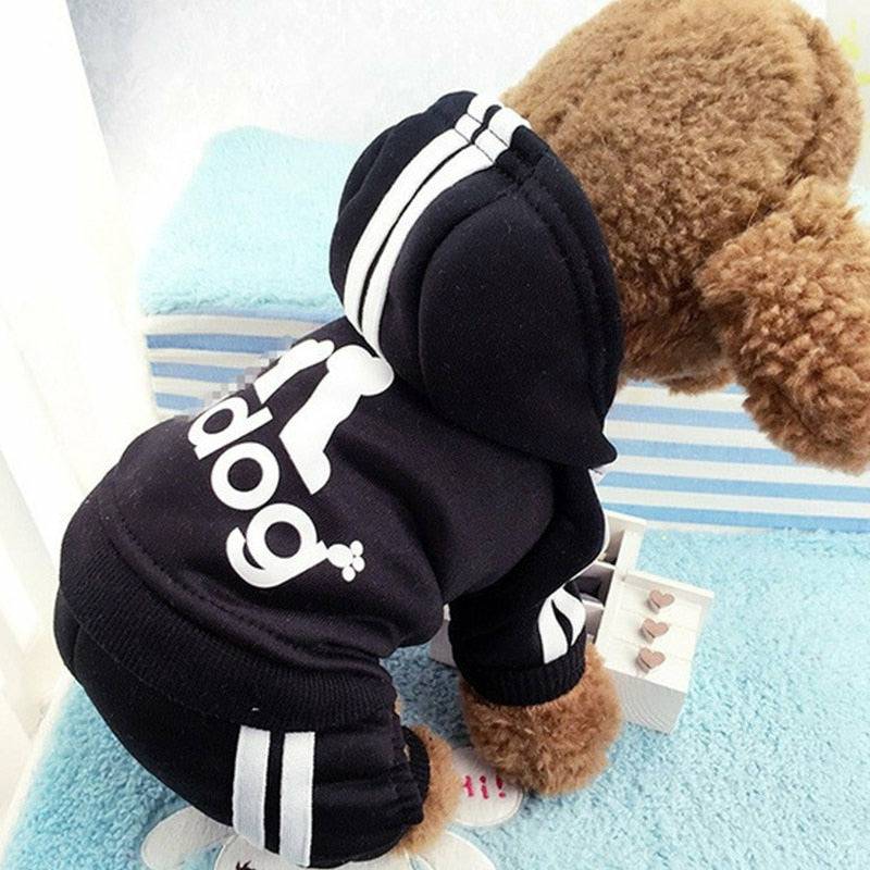 Adidog sweatsuit