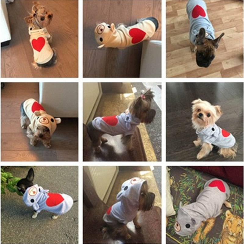 Hearty Bear Pet Hoodie