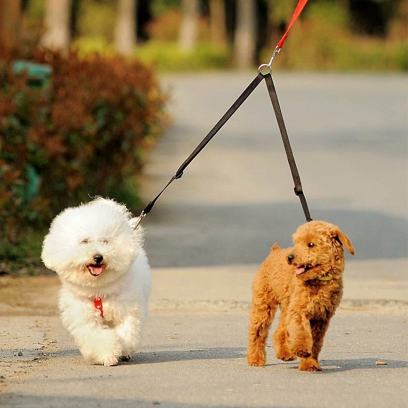 Doubled Walking Leash