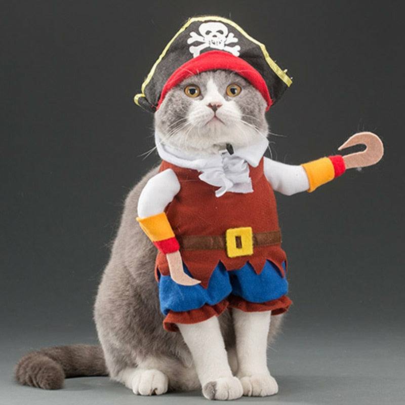 Pirate Cosplay/Costumes