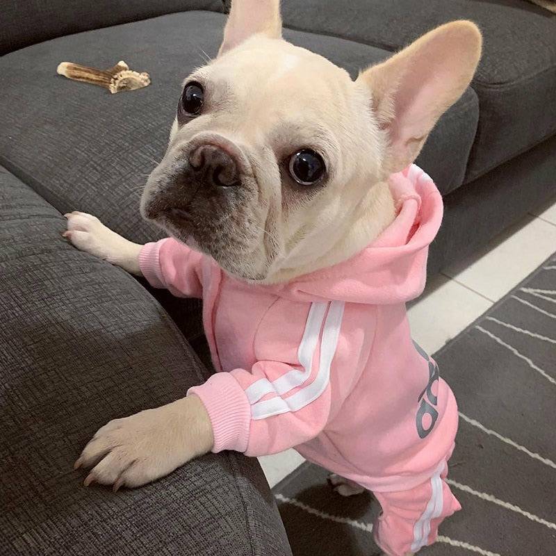 Adidog sweatsuit