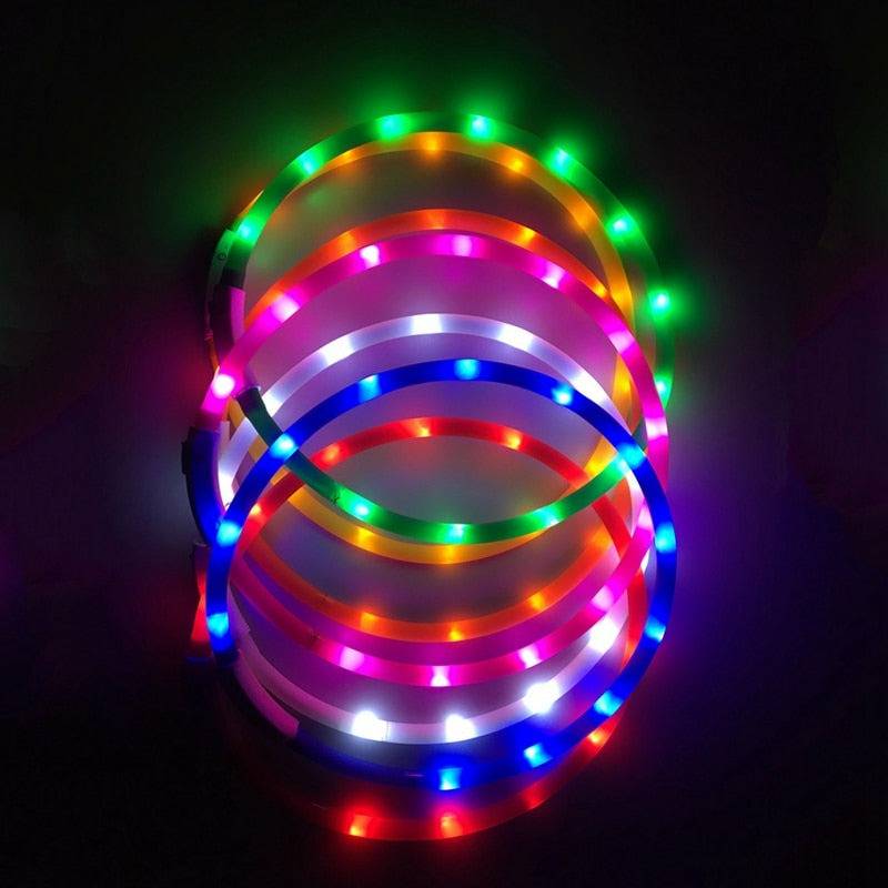Flashing LED Safety Collar