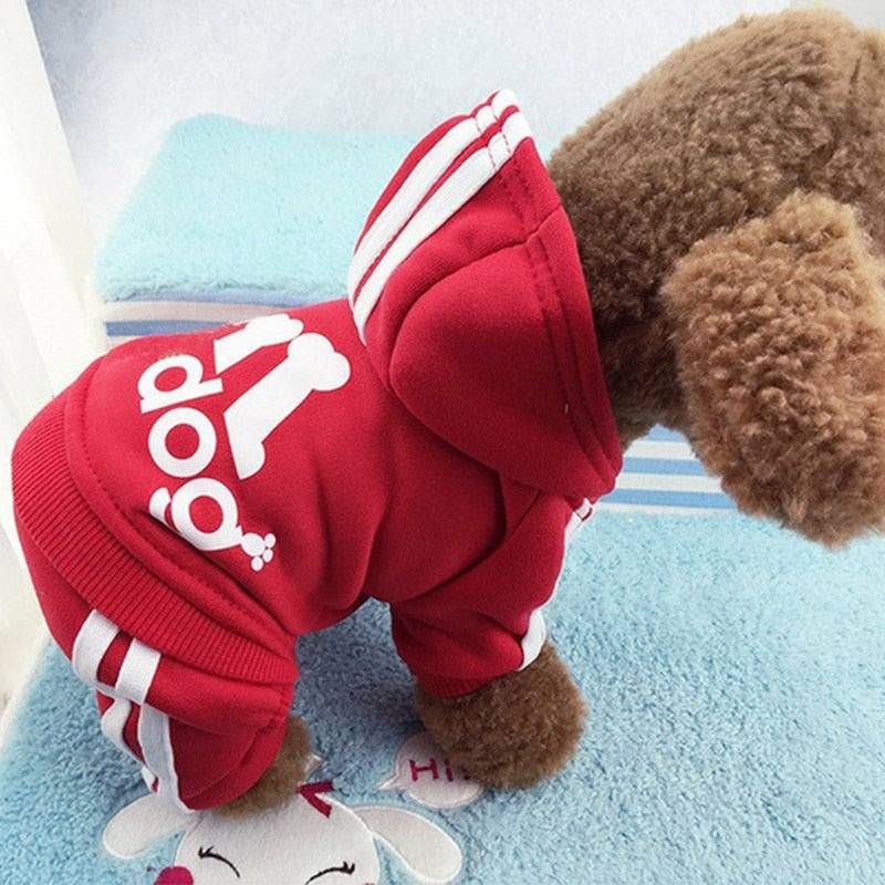 Adidog sweatsuit