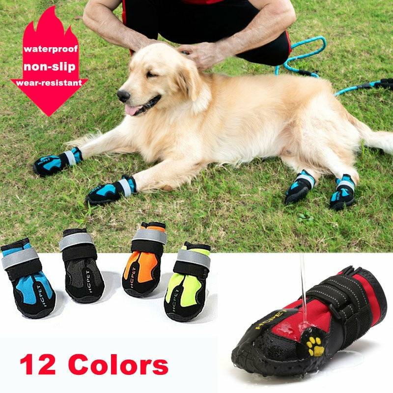 Fetch My Paws 3.0 R/G