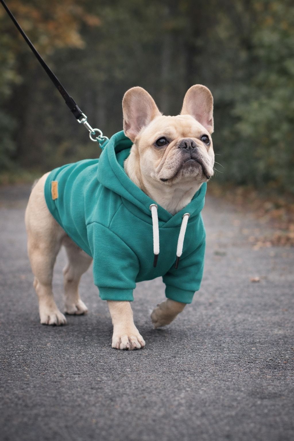 Signature Fetch Hoodie™ – Premium