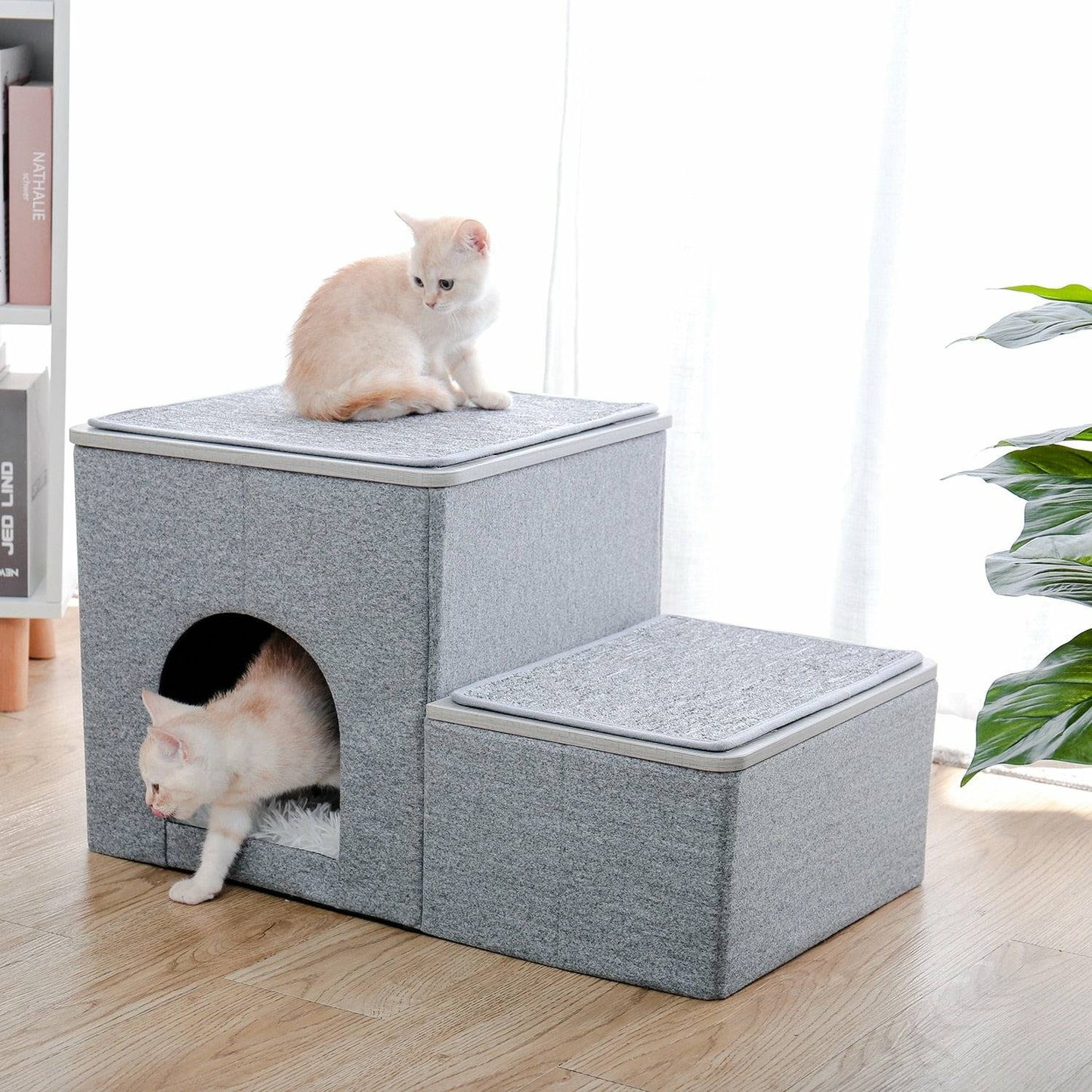 Pet Steps/Bed/Storage 3 in 1