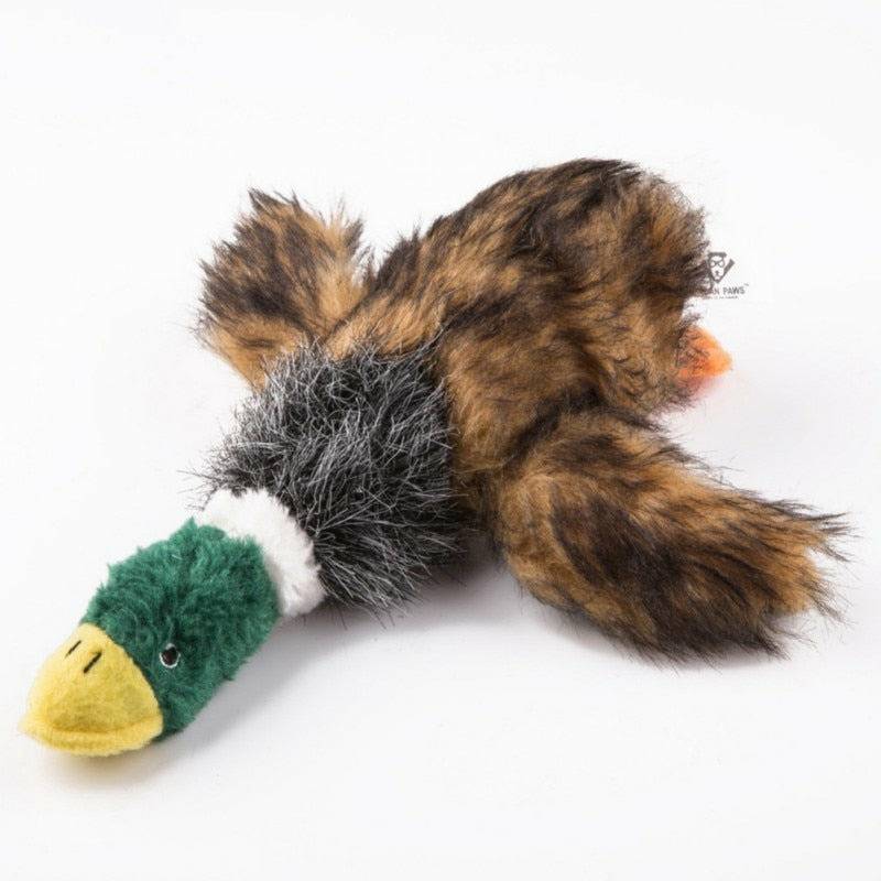 Plush Platypus Squeaky Toy