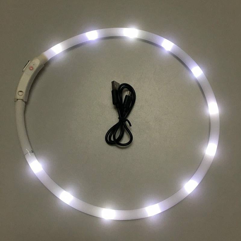 Flashing LED Safety Collar