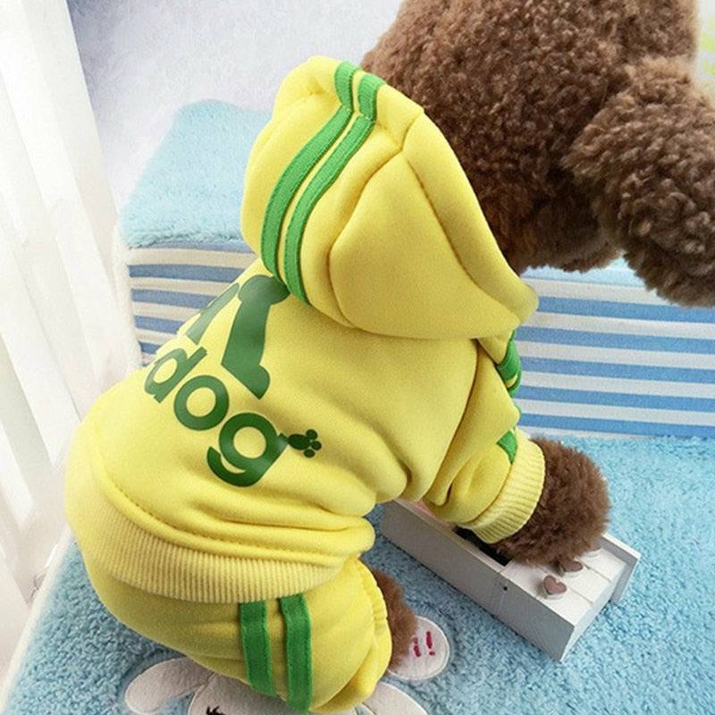 Adidog sweatsuit