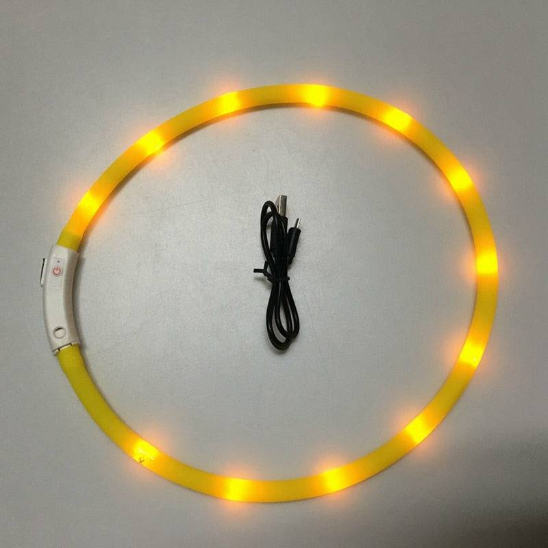 Flashing LED Safety Collar