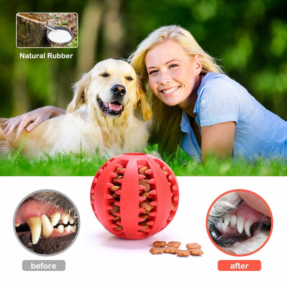 Tooth Cleaning Dog Food Ball