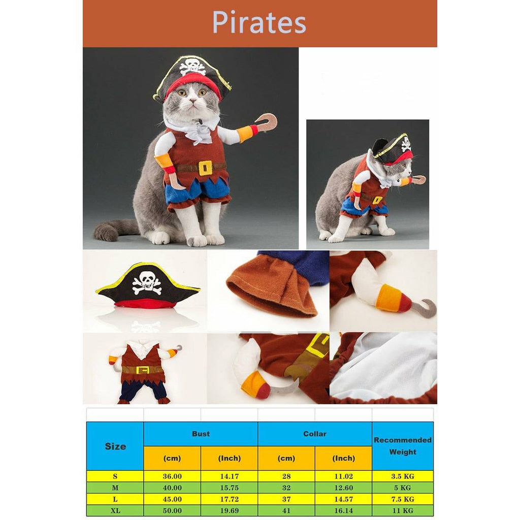 Pirate Cosplay/Costumes