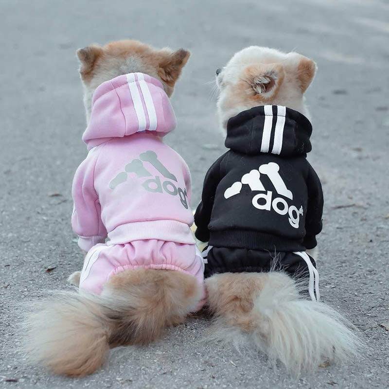 Adidog sweatsuit